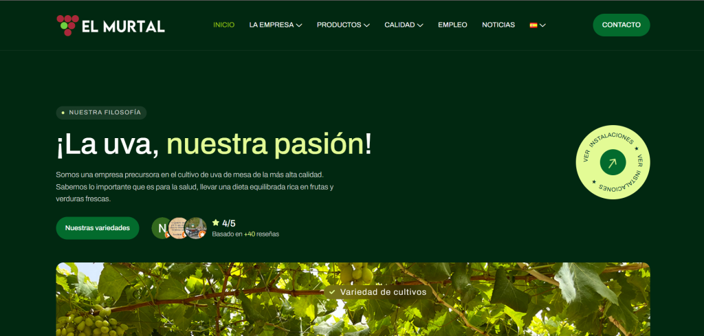 Web Corporativa