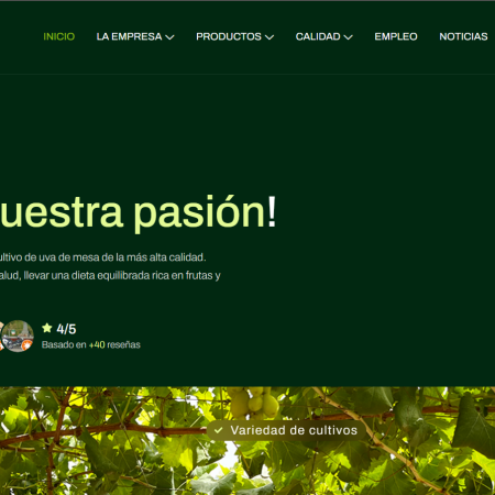 Web Corporativa 
